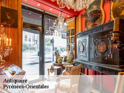 Antiquaire Pyrénées-Orientales 