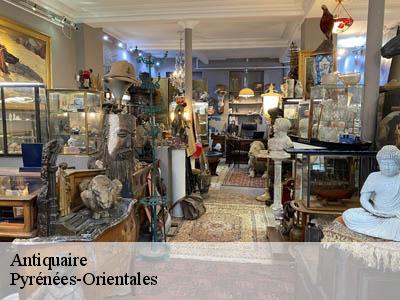 Antiquaire Pyrénées-Orientales 