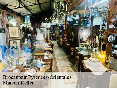 Brocanteur Pyrénées-Orientales 
