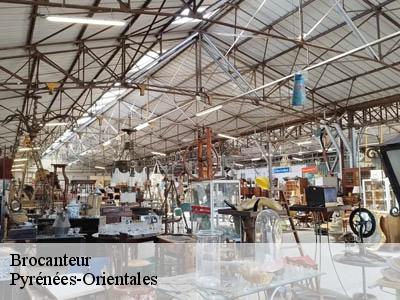 Brocanteur Pyrénées-Orientales 