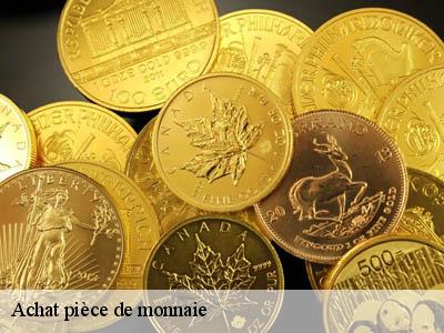 Achat pièce de monnaie  66140