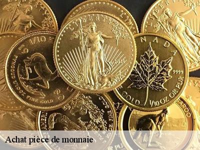 Achat pièce de monnaie  66370