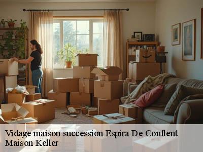 Vidage maison succession  66320