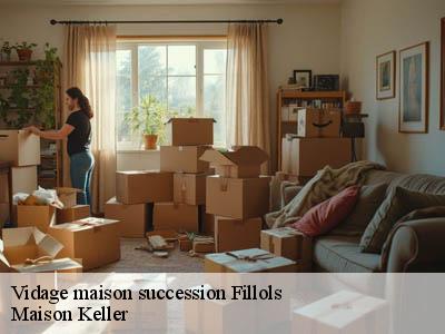 Vidage maison succession  66820