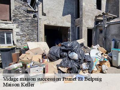 Vidage maison succession  66130