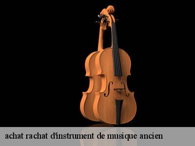 achat rachat d'instrument de musique ancien   66360