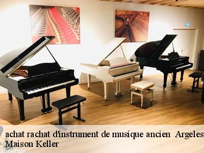 achat rachat d'instrument de musique ancien   66700