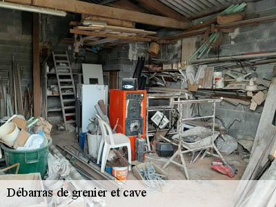 Débarras de grenier et cave  66620