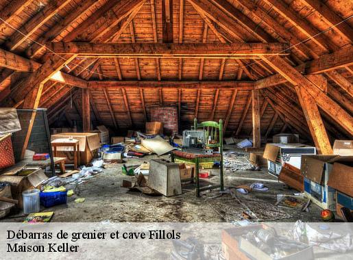 Débarras de grenier et cave  fillols-66820 Maison Keller