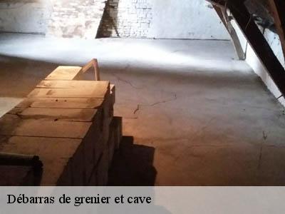 Débarras de grenier et cave  66170