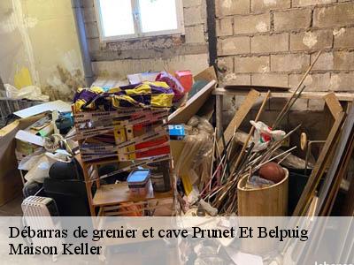 Débarras de grenier et cave  66130