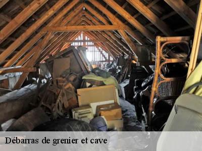 Débarras de grenier et cave  66500