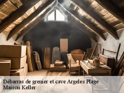 Débarras de grenier et cave  66700