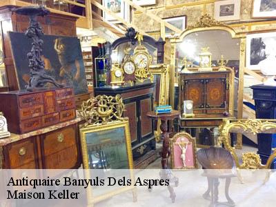 Antiquaire  66300