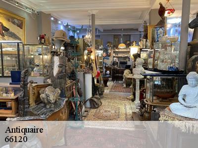 Antiquaire  66120