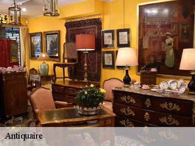 Antiquaire  66210