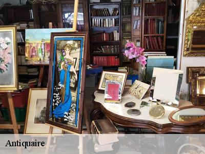 Antiquaire  66320