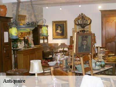 Antiquaire  66360