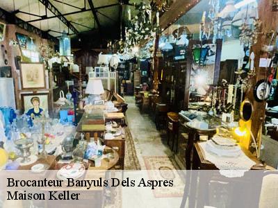 Brocanteur  66300