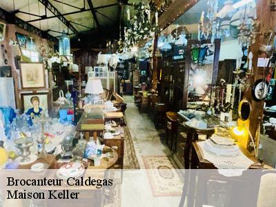 Brocanteur  66760
