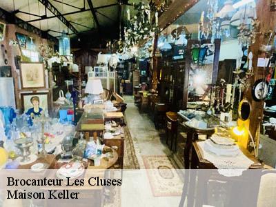 Brocanteur  66480