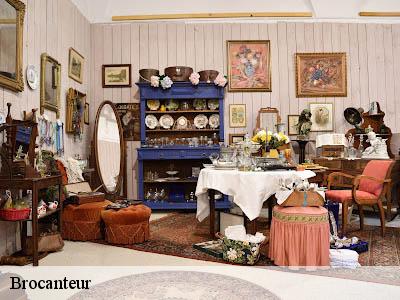 Brocanteur  66210