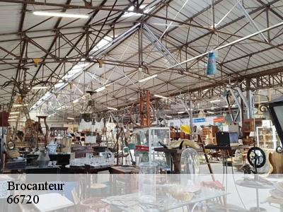 Brocanteur  66720